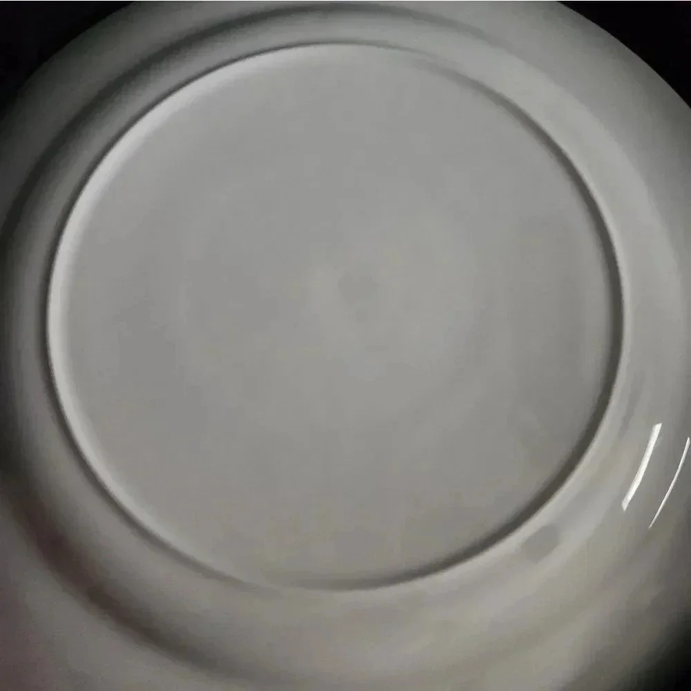 NEBRASKA Porcelain Plate - Picture 4 of 6